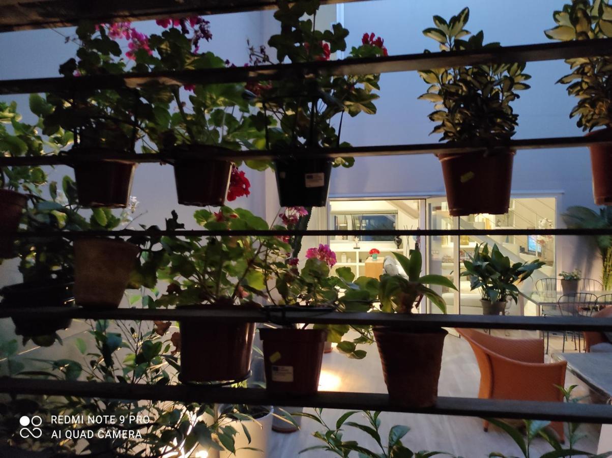 Habitacion Y Bano En Planta Independiente En Centro De Sevilla Exteriör bild